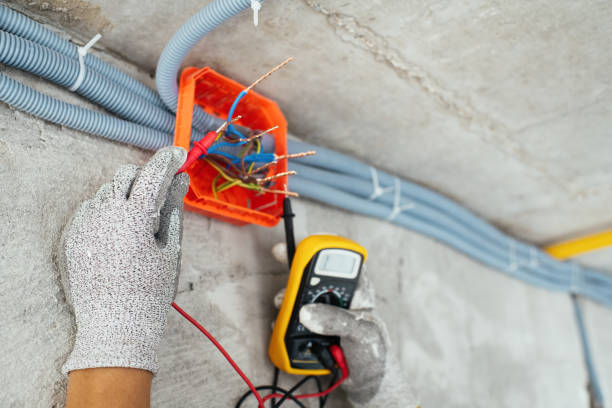 Best Home Electrical Repair  in Dwight, IL